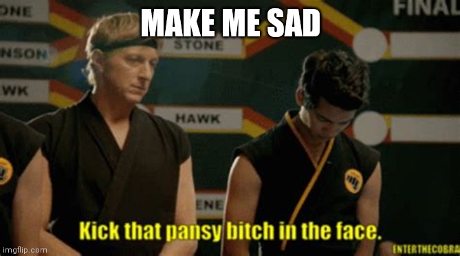It's kinda easy | MAKE ME SAD | image tagged in kick that pansy bitch in the face | made w/ Imgflip meme maker
