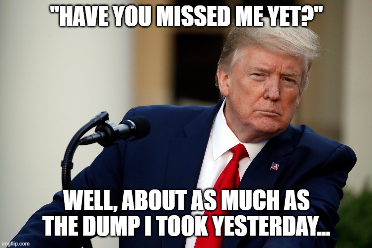 And I think that turd smelled better than his politics... | "HAVE YOU MISSED ME YET?"; WELL, ABOUT AS MUCH AS THE DUMP I TOOK YESTERDAY... | image tagged in donald trump | made w/ Imgflip meme maker