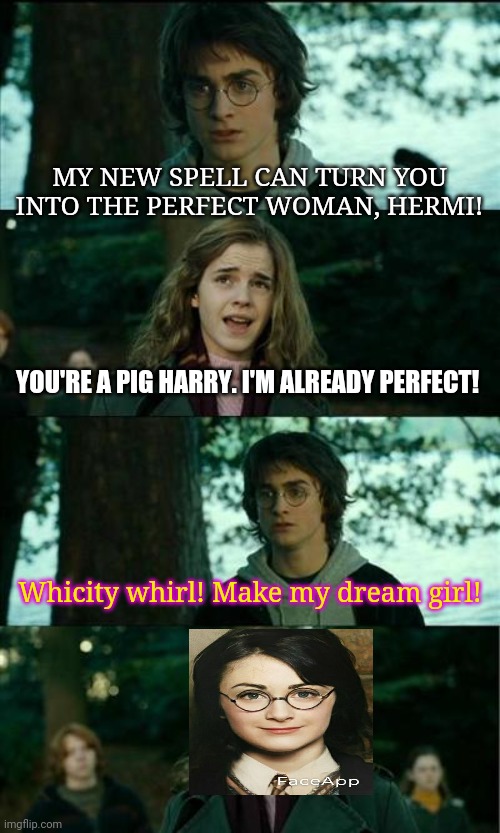Harry's perfect date. | MY NEW SPELL CAN TURN YOU INTO THE PERFECT WOMAN, HERMI! YOU'RE A PIG HARRY. I'M ALREADY PERFECT! Whicity whirl! Make my dream girl! | image tagged in memes,harry potter,hermione granger,gender swap,magic | made w/ Imgflip meme maker