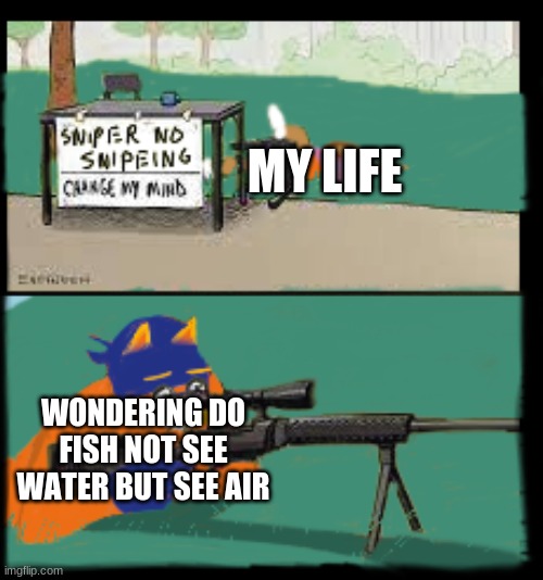 sniper no snipeing | MY LIFE; WONDERING DO FISH NOT SEE WATER BUT SEE AIR | image tagged in sniper no snipeing | made w/ Imgflip meme maker