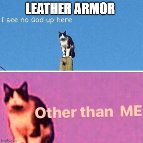 Hail pole cat | LEATHER ARMOR | image tagged in hail pole cat | made w/ Imgflip meme maker