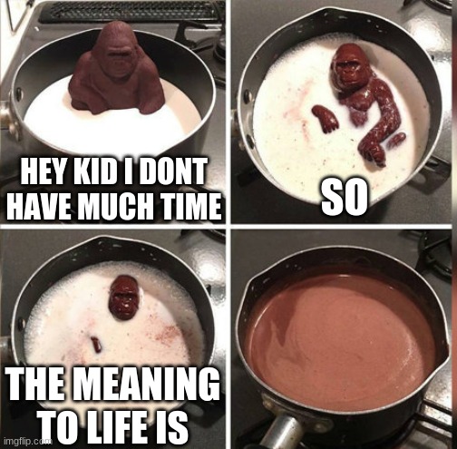 Hey Kid, I don't have much time | HEY KID I DONT HAVE MUCH TIME SO THE MEANING TO LIFE IS | image tagged in hey kid i don't have much time | made w/ Imgflip meme maker