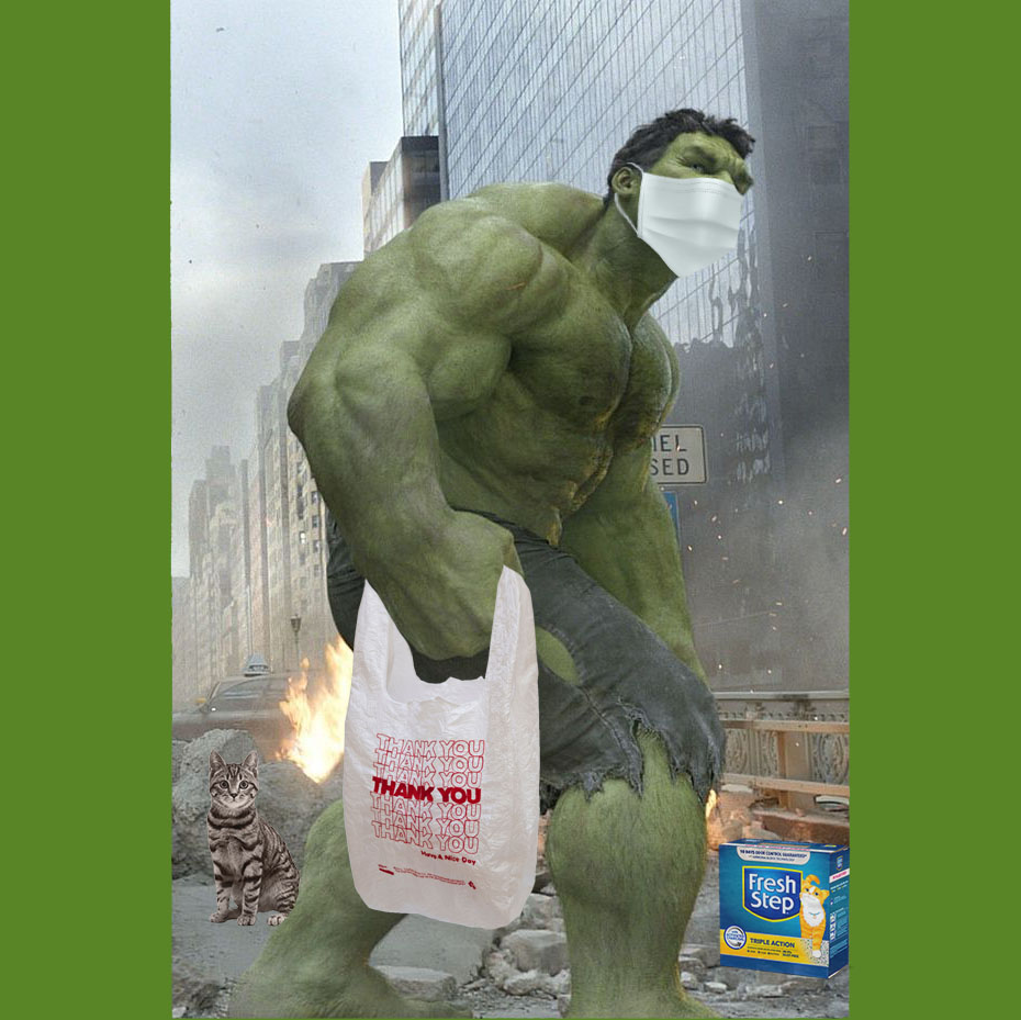 Hulk Clean Kitty Box Blank Meme Template