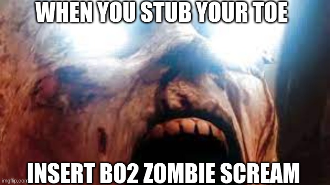 BO2 zombie smashed toe | WHEN YOU STUB YOUR TOE; INSERT BO2 ZOMBIE SCREAM | image tagged in stubbed toe,bo2,zombies | made w/ Imgflip meme maker