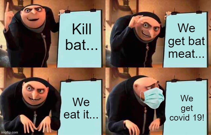 Gru's Plan | Kill bat... We get bat meat... We eat it... We get covid 19! | image tagged in memes,gru's plan | made w/ Imgflip meme maker