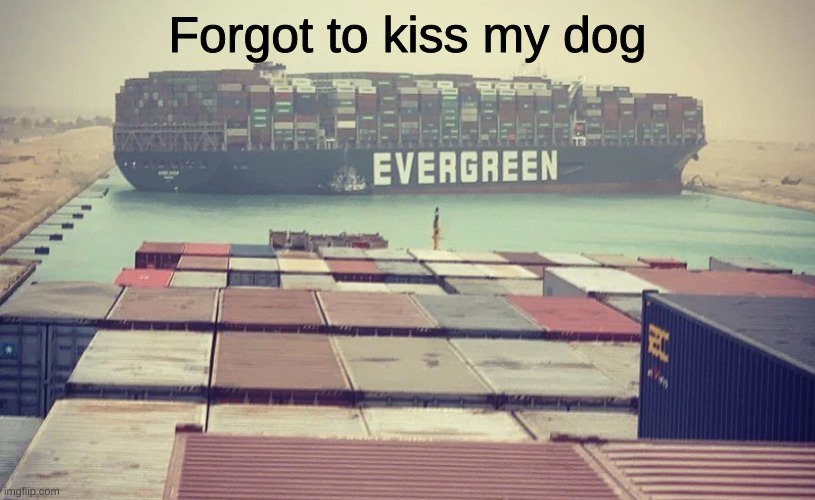 Wholesome | Forgot to kiss my dog | image tagged in evergreen boat in suez canal,suez,canal,evergreen,wholesome,dogs | made w/ Imgflip meme maker