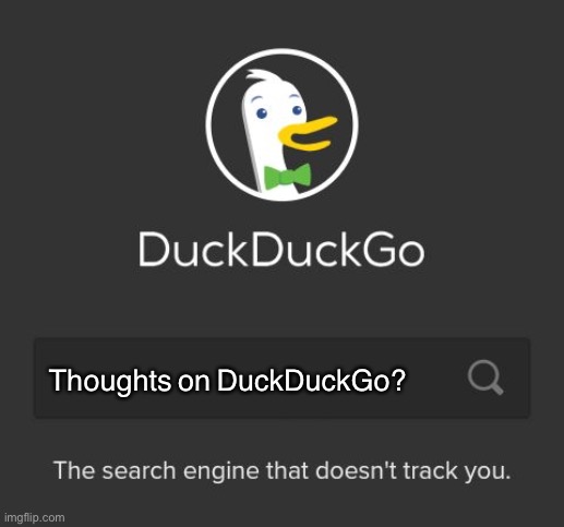 Search engine that doesn’t track you | Thoughts on DuckDuckGo? | image tagged in duckduckgo | made w/ Imgflip meme maker