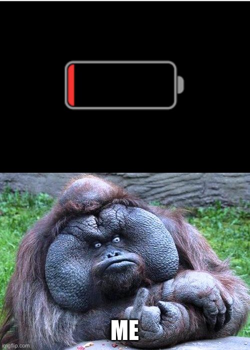 ME | image tagged in fat orangutan with middle finger | made w/ Imgflip meme maker
