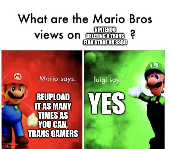 ok nintendo fuck you | NINTENDO DELETING A TRANS FLAG STAGE ON SSBU; REUPLOAD IT AS MANY TIMES AS YOU CAN, TRANS GAMERS; YES | image tagged in mario bros views | made w/ Imgflip meme maker