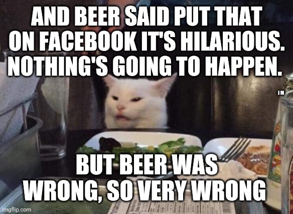 Salad cat | AND BEER SAID PUT THAT ON FACEBOOK IT'S HILARIOUS. NOTHING'S GOING TO HAPPEN. J M; BUT BEER WAS WRONG, SO VERY WRONG | image tagged in salad cat | made w/ Imgflip meme maker