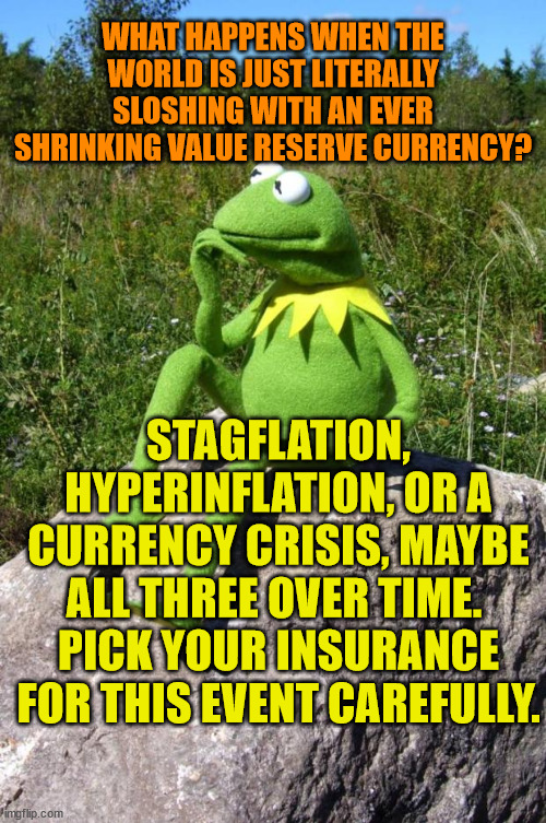 Kermit-thinking | WHAT HAPPENS WHEN THE WORLD IS JUST LITERALLY SLOSHING WITH AN EVER SHRINKING VALUE RESERVE CURRENCY? STAGFLATION, HYPERINFLATION, OR A CURRENCY CRISIS, MAYBE ALL THREE OVER TIME. 
PICK YOUR INSURANCE FOR THIS EVENT CAREFULLY. | image tagged in kermit-thinking | made w/ Imgflip meme maker