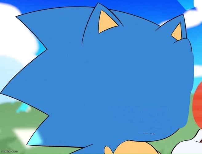 custom sonic face | image tagged in custom sonic face | made w/ Imgflip meme maker