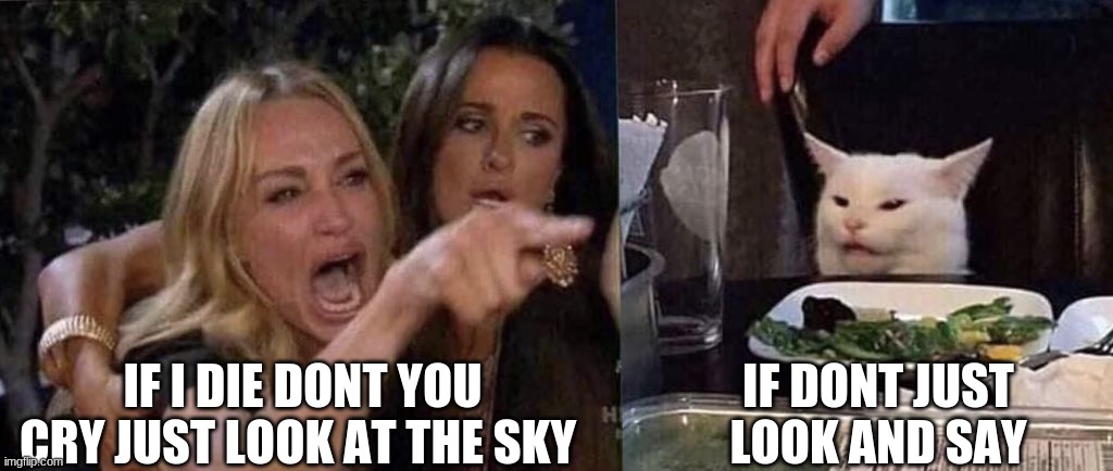 woman yelling at cat | IF I DIE DONT YOU CRY JUST LOOK AT THE SKY IF DONT JUST LOOK AND SAY | image tagged in woman yelling at cat | made w/ Imgflip meme maker