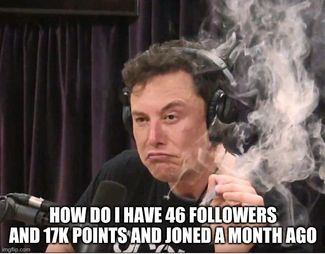 Elon Musk smoking a joint | HOW DO I HAVE 46 FOLLOWERS AND 17K POINTS AND JONED A MONTH AGO | image tagged in elon musk smoking a joint | made w/ Imgflip meme maker