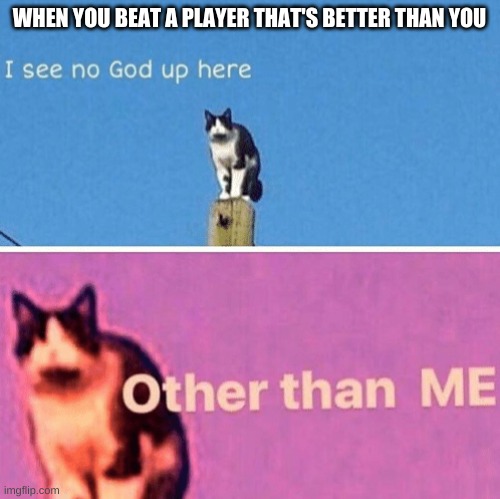Hail pole cat | WHEN YOU BEAT A PLAYER THAT'S BETTER THAN YOU | image tagged in hail pole cat | made w/ Imgflip meme maker