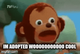 im adopted woooooooooooo | IM ADOPTED WOOOOOOOOOOO COOL | image tagged in gifs,adopted | made w/ Imgflip images-to-gif maker