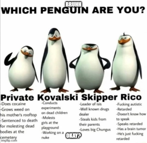 BRUHH; OKAY? | image tagged in penguins of madagascar | made w/ Imgflip meme maker