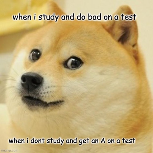 Doge | when i study and do bad on a test; when i dont study and get an A on a test | image tagged in memes,doge | made w/ Imgflip meme maker