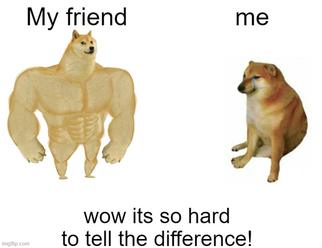 Buff Doge vs. Cheems | My friend; me; wow its so hard to tell the difference! | image tagged in memes,buff doge vs cheems | made w/ Imgflip meme maker