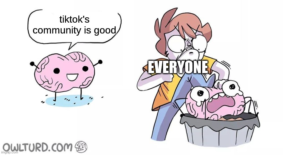 Beat the brain | tiktok's community is good; EVERYONE | image tagged in beat the brain | made w/ Imgflip meme maker