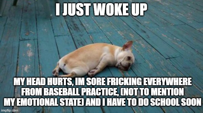 tired dog | I JUST WOKE UP; MY HEAD HURTS, IM SORE FRICKING EVERYWHERE FROM BASEBALL PRACTICE, (NOT TO MENTION MY EMOTIONAL STATE) AND I HAVE TO DO SCHOOL SOON | image tagged in tired dog | made w/ Imgflip meme maker