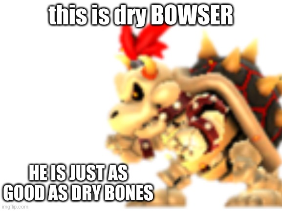 this is dry BOWSER HE IS JUST AS GOOD AS DRY BONES | made w/ Imgflip meme maker