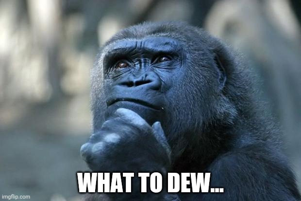 Deep Thoughts | WHAT TO DEW... | image tagged in deep thoughts | made w/ Imgflip meme maker