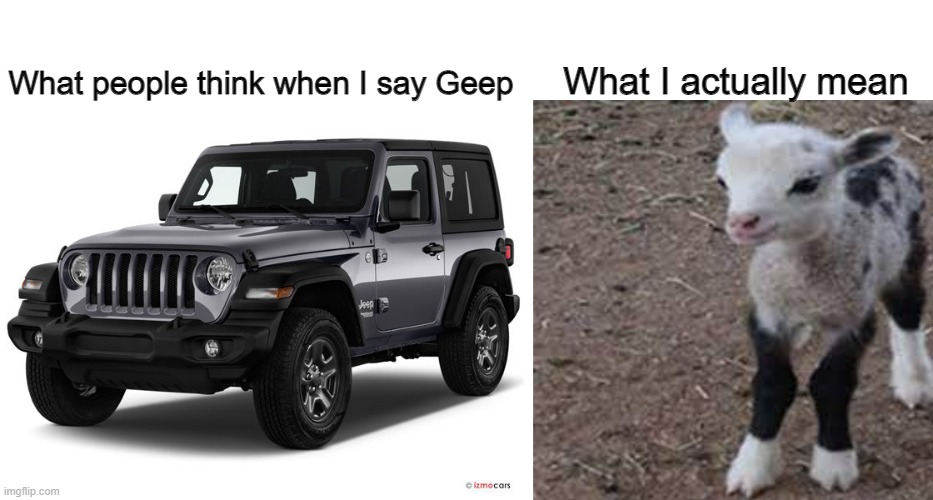 Geep | What people think when I say Geep; What I actually mean | image tagged in jeep,sheep,goat,fun,meme,oh wow are you actually reading these tags | made w/ Imgflip meme maker