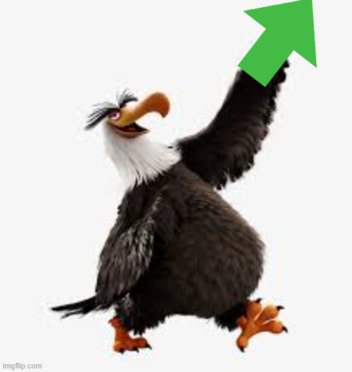 angry birds eagle | image tagged in angry birds eagle | made w/ Imgflip meme maker