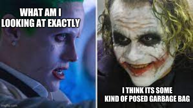 joker wtf | WHAT AM I LOOKING AT EXACTLY; I THINK ITS SOME KIND OF POSED GARBAGE BAG | image tagged in joker wtf | made w/ Imgflip meme maker