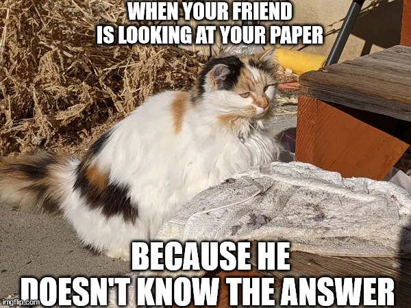friend cheating | WHEN YOUR FRIEND IS LOOKING AT YOUR PAPER; BECAUSE HE DOESN'T KNOW THE ANSWER | image tagged in bruh moment patches | made w/ Imgflip meme maker