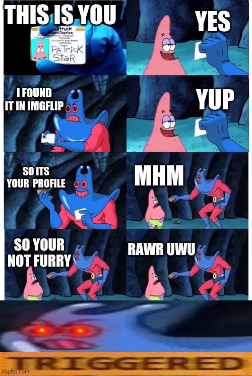 imgflip furrys in a nutshell | YES; THIS IS YOU; I FOUND IT IN IMGFLIP; YUP; SO ITS YOUR  PROFILE; MHM; RAWR UWU; SO YOUR NOT FURRY | image tagged in patrick not my wallet | made w/ Imgflip meme maker