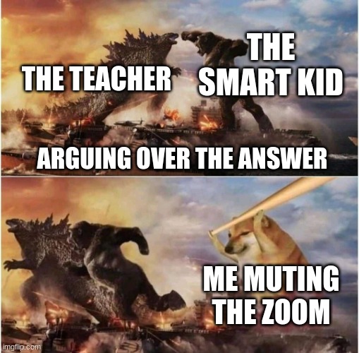 ZOOOOOOOOOOOM | THE SMART KID; THE TEACHER; ARGUING OVER THE ANSWER; ME MUTING THE ZOOM | image tagged in kong godzilla doge | made w/ Imgflip meme maker
