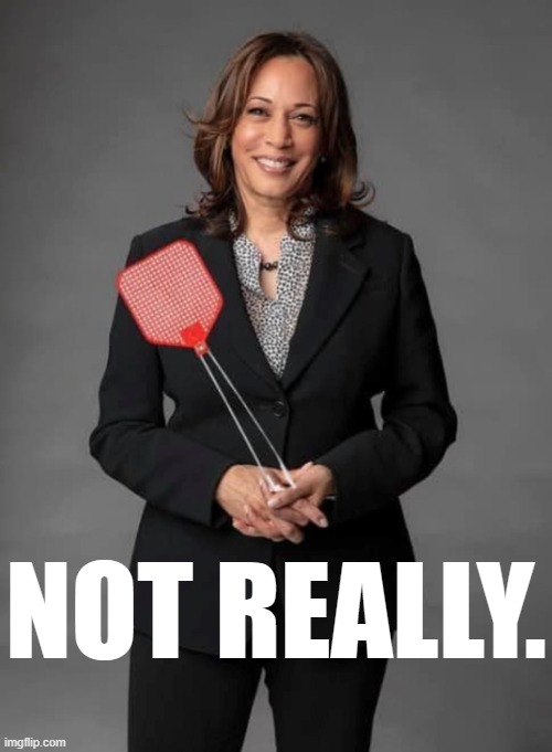 Claim: Kamala Harris is "mixed, not black." Well yes but actually no. | NOT REALLY. | image tagged in kamala harris flyswatter | made w/ Imgflip meme maker