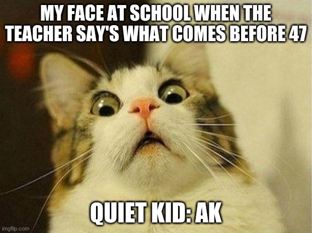 oh no | MY FACE AT SCHOOL WHEN THE TEACHER SAY'S WHAT COMES BEFORE 47; QUIET KID: AK | image tagged in memes | made w/ Imgflip meme maker