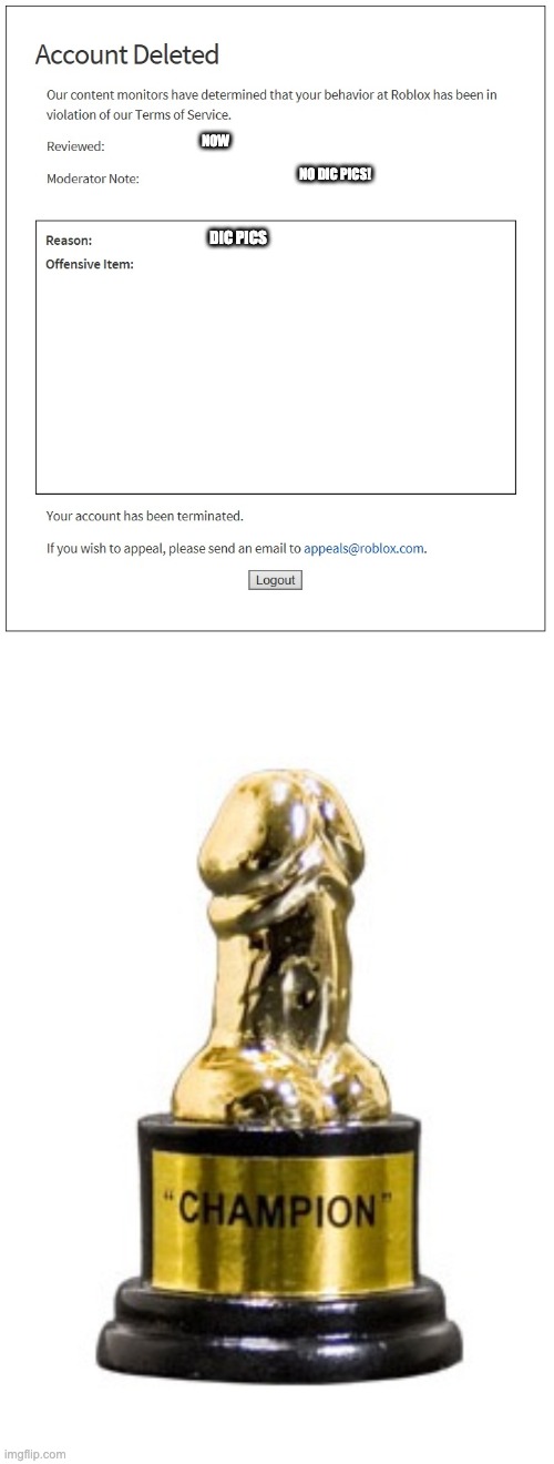 NOW NO DIC PICS! DIC PICS | image tagged in banned from roblox,cock penis dick prick award | made w/ Imgflip meme maker