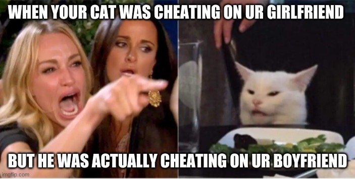 women gone crazy | WHEN YOUR CAT WAS CHEATING ON UR GIRLFRIEND; BUT HE WAS ACTUALLY CHEATING ON UR BOYFRIEND | image tagged in women gone crazy | made w/ Imgflip meme maker
