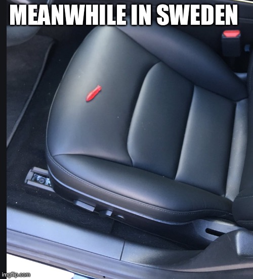 Meanwhile in Sweden | MEANWHILE IN SWEDEN | image tagged in fish | made w/ Imgflip meme maker