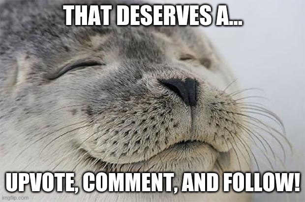Satisfied Seal Meme | THAT DESERVES A... UPVOTE, COMMENT, AND FOLLOW! | image tagged in memes,satisfied seal | made w/ Imgflip meme maker