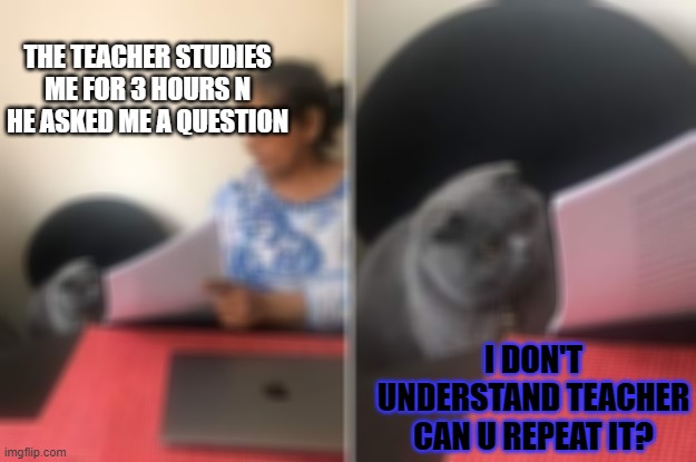 Woman showing paper to cat | THE TEACHER STUDIES ME FOR 3 HOURS N HE ASKED ME A QUESTION; I DON'T UNDERSTAND TEACHER CAN U REPEAT IT? | image tagged in woman showing paper to cat | made w/ Imgflip meme maker