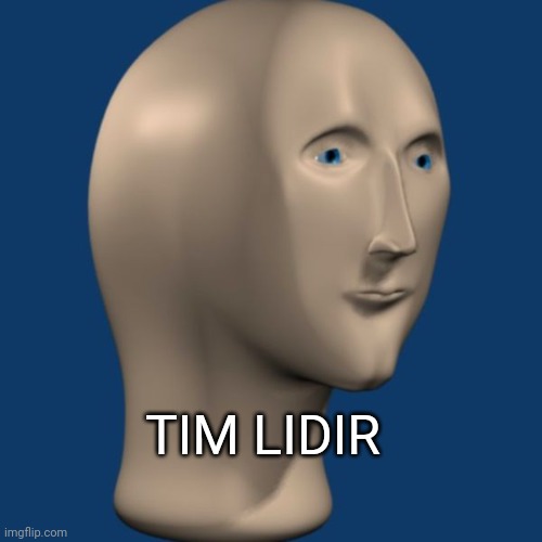 meme man | TIM LIDIR | image tagged in meme man | made w/ Imgflip meme maker