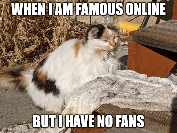 famous online | WHEN I AM FAMOUS ONLINE; BUT I HAVE NO FANS | image tagged in bruh moment patches | made w/ Imgflip meme maker