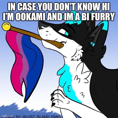 Hello | IN CASE YOU DON’T KNOW HI I’M OOKAMI AND IM A BI FURRY | image tagged in lgbt | made w/ Imgflip meme maker