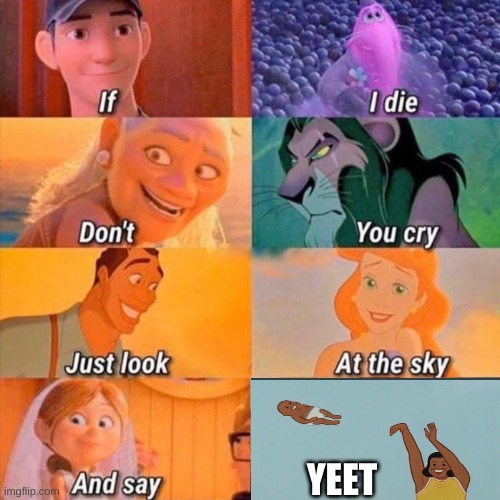 if i die don't you cry | YEET | image tagged in if i die don't you cry | made w/ Imgflip meme maker