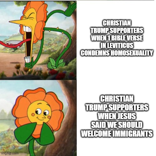 Cuphead Flower | CHRISTIAN TRUMP SUPPORTERS WHEN 1 BIBLE VERSE IN LEVITICUS CONDEMNS HOMOSEXUALITY; CHRISTIAN TRUMP SUPPORTERS WHEN JESUS SAID WE SHOULD WELCOME IMMIGRANTS | image tagged in cuphead flower | made w/ Imgflip meme maker