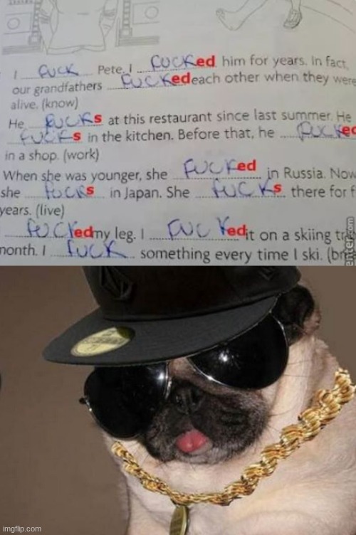 i cant stop laughing | image tagged in gangster pug | made w/ Imgflip meme maker