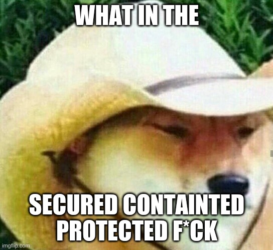 What in tarnation | WHAT IN THE SECURED CONTAINTED PROTECTED F*CK | image tagged in what in tarnation | made w/ Imgflip meme maker