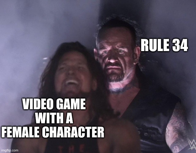 noooooo! | RULE 34; VIDEO GAME WITH A FEMALE CHARACTER | image tagged in undertaker | made w/ Imgflip meme maker