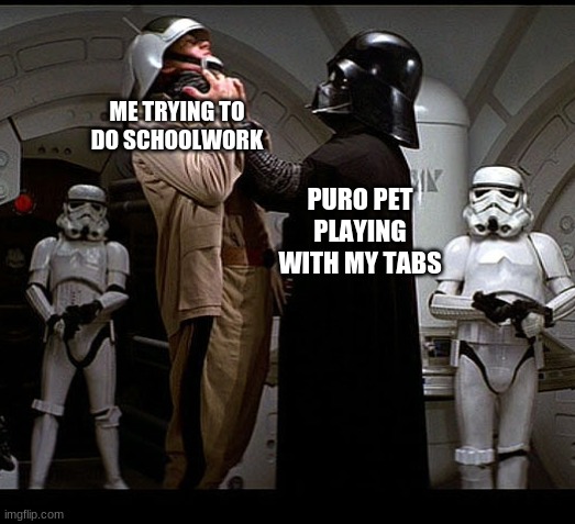 puro pet, the boss of my tabs and where they go | ME TRYING TO DO SCHOOLWORK; PURO PET PLAYING WITH MY TABS | image tagged in darth vader episode iv,star wars,meme,furry memes,star wars meme,computers/electronics | made w/ Imgflip meme maker