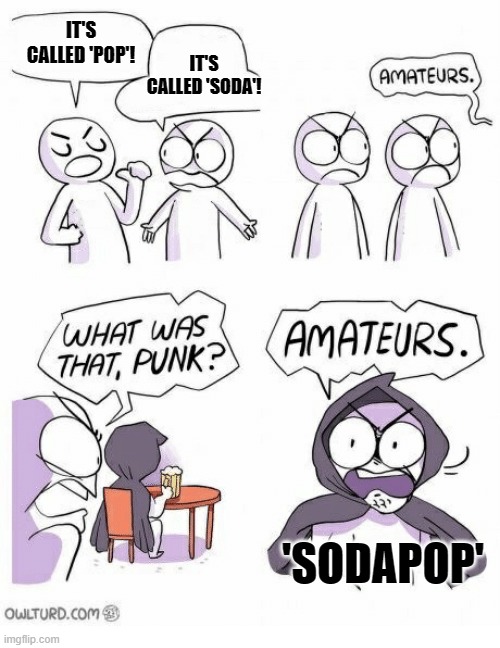 I don't care how people say it | IT'S CALLED 'POP'! IT'S CALLED 'SODA'! 'SODAPOP' | image tagged in amateurs,soda,pop | made w/ Imgflip meme maker